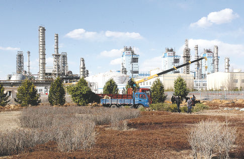 球速体育多赛事实时数据看板